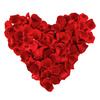 Czerwone płatki róż na Walentynki zaręczyny randkę 1500 sztuk PLRD500-007-3x