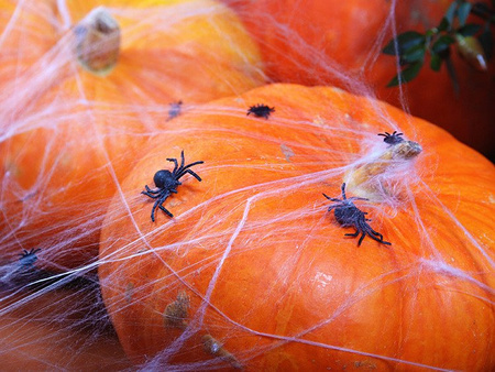 Pająki plastikowe czarne Halloween 3cm 50 sztuk PHK10-BOX