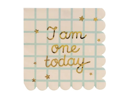 Serwetki na Roczek beżowe I am one today beżowe w kratkę 33x33cm 12 sztuk SP33-101