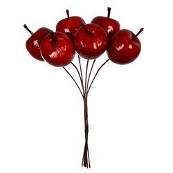 Stroik rajskie jabłuszka czerwony 1 komplet  BN5090CZE-3537