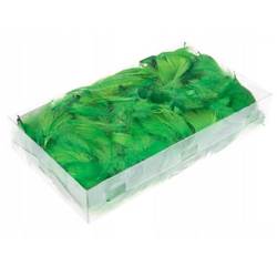 Zielone piórka dekoracyjne w pudełku 50g 505020