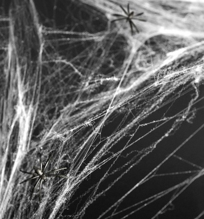 Sztuczna pajęczyna biała 60g x 40op. PH60-008-KARTON