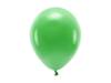 Balony Eco 30cm pastelowe zielona trawa 10 sztuk ECO30P-101-10