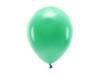 Balony Eco 30cm pastelowe zielone 10 sztuk ECO30P-012-10